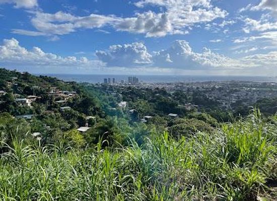 trinidad-and-tobago/tunapuna/attraction/lady-young-road-lookout