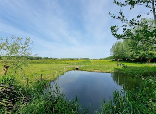 netherlands/delft/attraction/arboretum-heempark