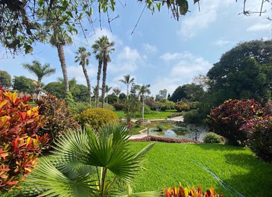 peru/lima/san-miguel/attraction/park-of-the-legends-zoo