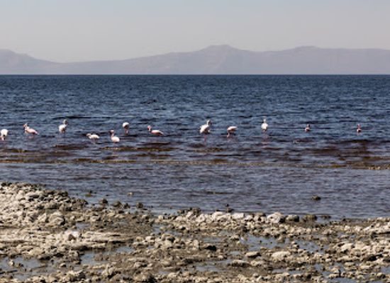 ethiopia/oromia-region/attraction/shala-lake