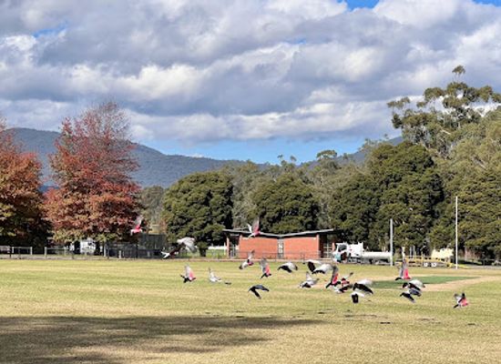 australia/yarra-valley/attraction/queens-park