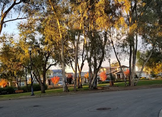 california/livermore/attraction/the-grove-park