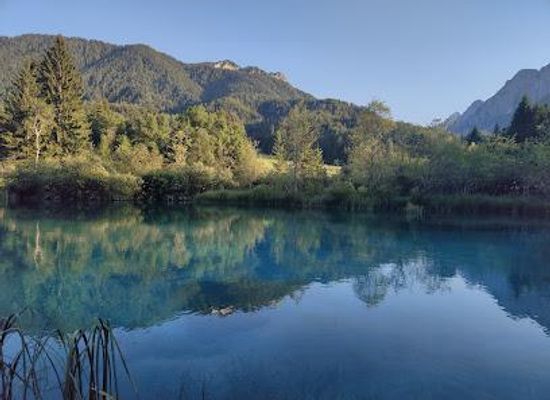 austria/klagenfurt/attraction/zelenci-nature-reserve