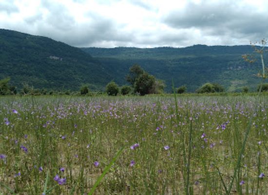 laos/khammouane-province/attraction/tagoy-sandbanks