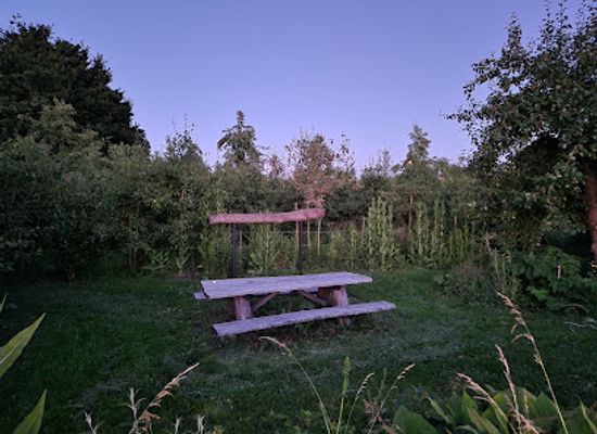 netherlands/alblasserwaard/attraction/boomgaard-onderweg
