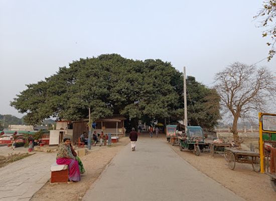 bangladesh/rajshahi/attraction/i-badh