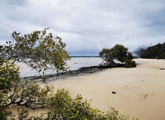 australia/fraser-island/attraction/inskip-point