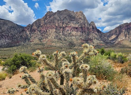 nevada/red-rock-canyon-national-conservation-area/attraction/south-oak-creek-trailhead