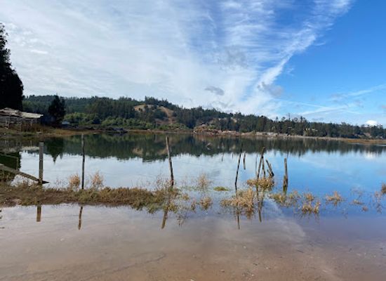 chile/pichilemu/attraction/humedal-las-salinas-de-barrancas