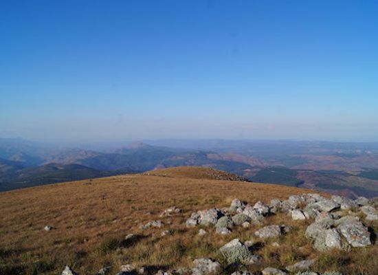 eswatini/piggs-peak/attraction/safarihike