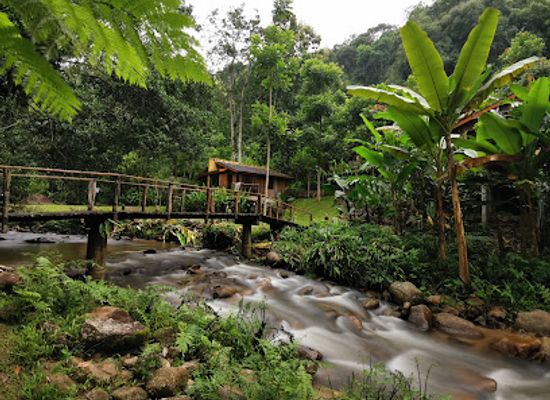 thailand/phi-pan-nam-range/attraction/teen-tok-royal-project-development-center