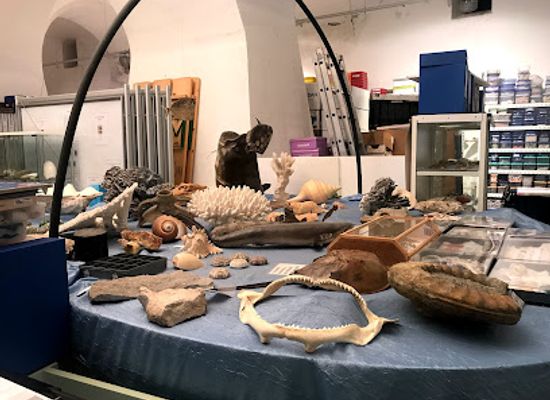 croatia/baranja/attraction/shell-museum-and-water-world