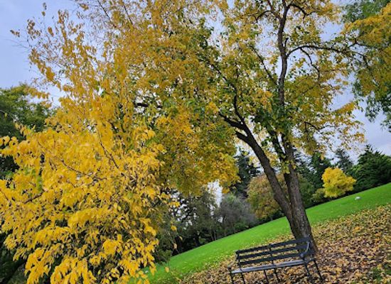 australia/north-east-south-australia/attraction/australian-native-garden