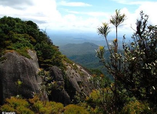 australia/atherton-tablelands/attraction/lambs-head