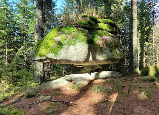 czechia/sumava/attraction/medvedi-stezka