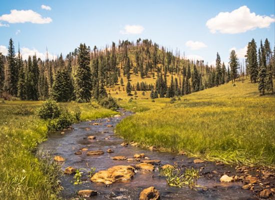 arizona/white-mountains/attraction/white-mountains-trail-system