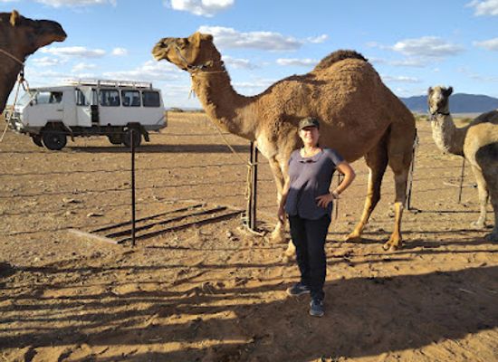 australia/south-australia/attraction/camel-treks-australia