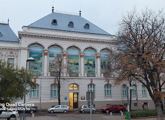 hungary/mecsek-mountains/attraction/csontvary-museum