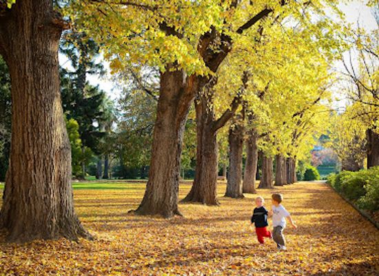 australia/murray-region/attraction/albury-botanic-gardens