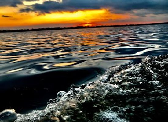 mexico/puerto-escondido/attraction/bioluminiscencia-laguna-manialtepec
