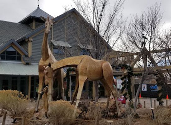 colorado/denver/attraction/schlessman-family-foundation-tropical-discovery