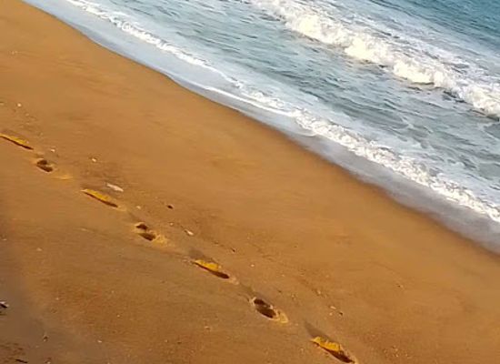 benin/oueme/attraction/curtis-beach