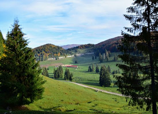 romania/bihor/attraction/cale-de-acces-glavoi
