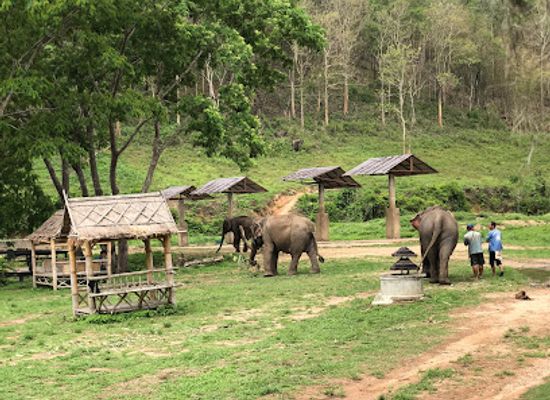 thailand/lanna/attraction/lanna-kingdom-elephant-sanctuary