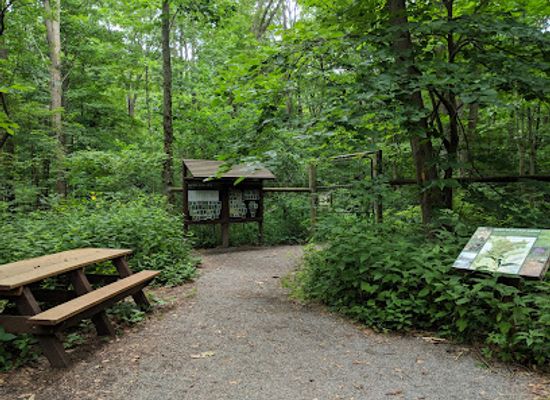 new-york/ithaca/attraction/mundy-wildflower-garden