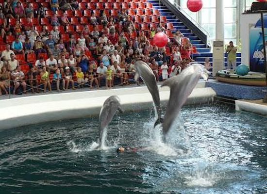 bulgaria/varna/attraction/dolphinarium-varna