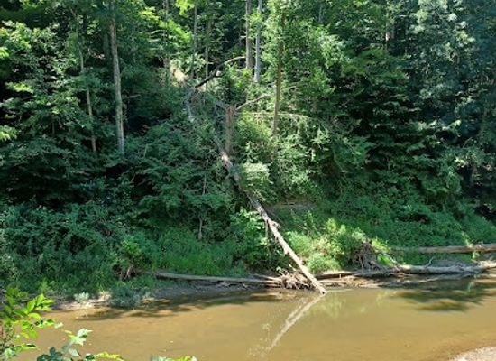 indiana/brown-county-state-park/attraction/salt-creek-trail