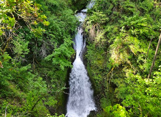 oregon/clackamas-county/attraction/shepperd-s-dell-falls