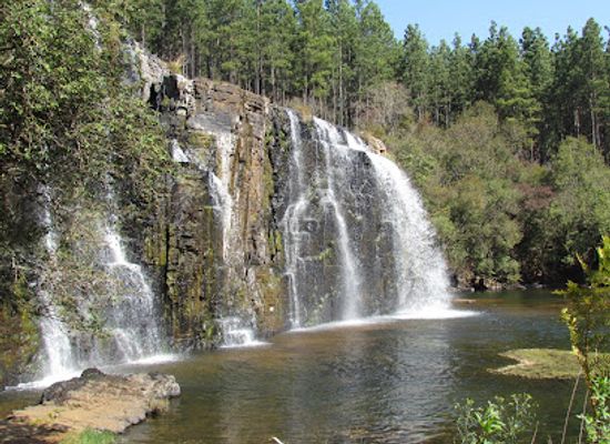 south-africa/lowveld/attraction/forest-falls