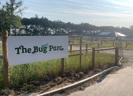 united-kingdom/east-of-england/attraction/the-bug-parc