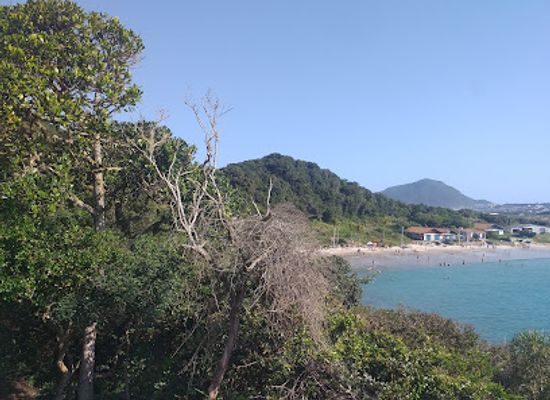 brazil/florianopolis/ingleses-do-rio-vermelho/attraction/deck-praia-dos-ingleses