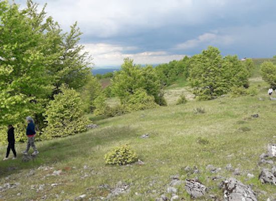 romania/salaj/attraction/rezervatia-peisagistica-tusa-barcau