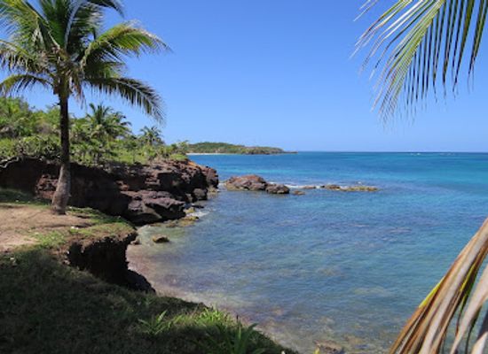 honduras/bay-islands/attraction/roatan