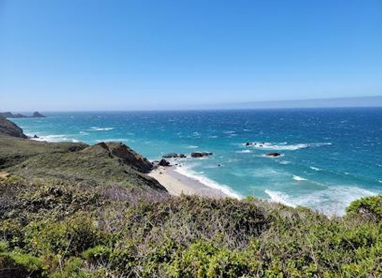 california/big-sur/attraction/andrew-molera-state-park