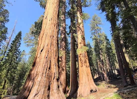 california/yosemite-national-park/attraction/bachelor-and-three-graces