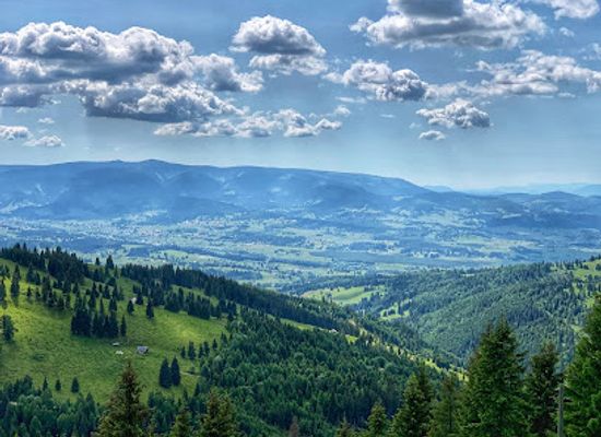 romania/muntenia/attraction/manastirea-piatra-taieturii