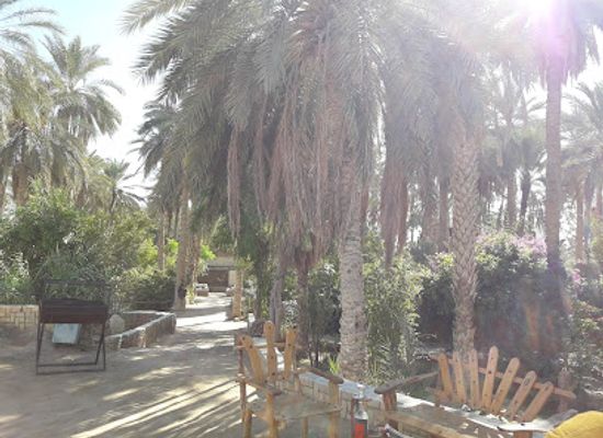 tunisia/tozeur/attraction/desert-zoo-si-tijani-bejghil