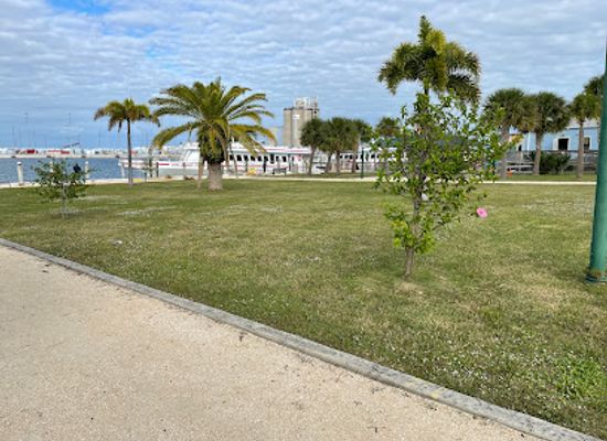 florida/cape-canaveral/attraction/port-canaveral-park-viewing-area