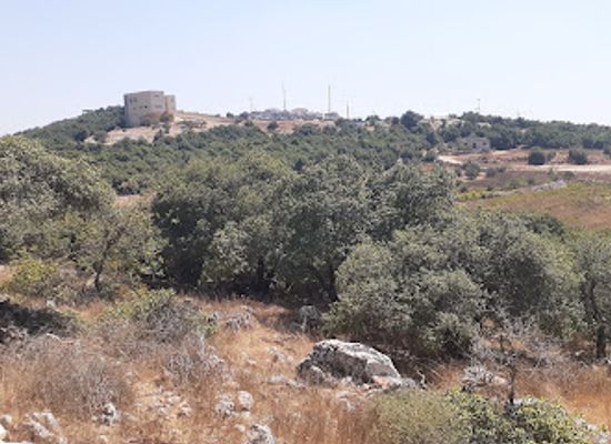 jordan/ajloun-castle/attraction/ajloun-forest-reserve-visitor-center