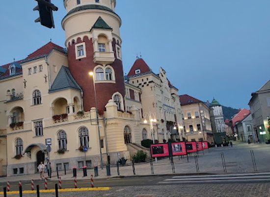 slovenia/celje/attraction/platana-pri-zelezniski-postaji-celje