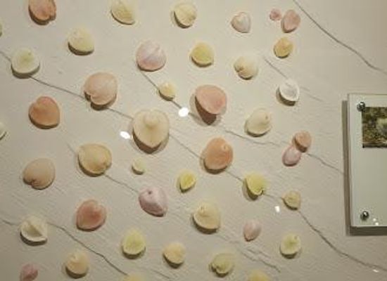 thailand/western-thailand/attraction/bangkok-seashell-museum