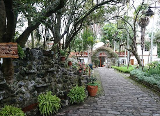 ecuador/ambato/attraction/martinez-holguin-house-museum