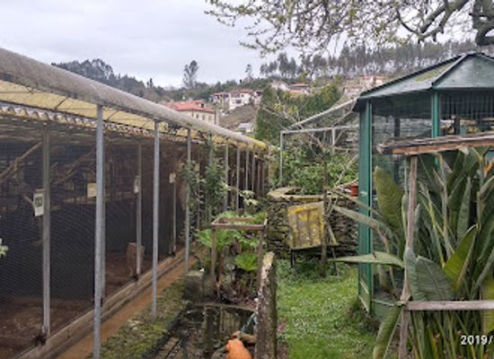 spain/asturias/attraction/el-rincon-de-las-aves
