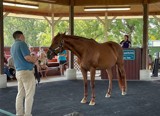 kentucky/lexington/attraction/hall-of-champions