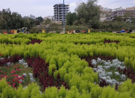 saudi-arabia/abha/attraction/abha-flower-show