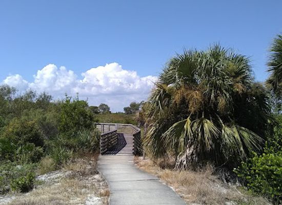 florida/jupiter/attraction/jupiter-ridge-natural-area